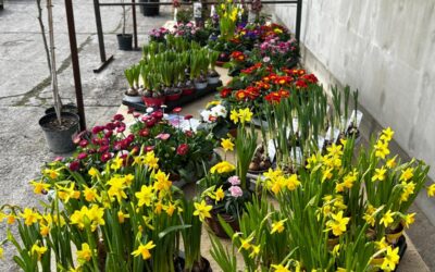 JARNÍ OTEVÍRACÍ DOBA